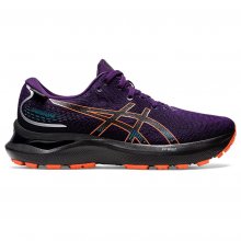 Женские кроссовки для бега Asics GEL-CUMULUS 24 GTX (1012B311-500) AW2022rz