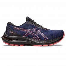 Женские кроссовки для бега ASICS GT-2000 11 GTX (1012B304-003) SS2023sv
