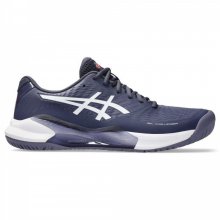 Мужские кроссовки для тенниса Asics GEL-CHALLENGER 14 (1041A405-500) SS2024lb