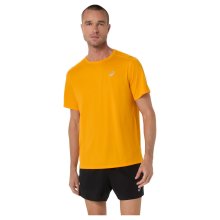 Мужская футболка для бега Asics CORE SS TOP (2011D221-800) AW2026