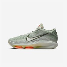 Баскетбольні / волейбольні кросівки Nike Zoom GT Hustle 3 FV5953-300