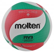 Волейбольный мяч MOLTEN V5M5000