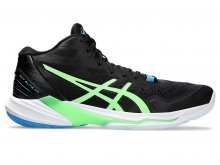 Волейбольные кроссовки ASICS SKY ELITE FF MT 2 (1051A065-005) AW2024zp