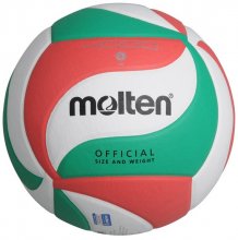 Волейбольный мяч Molten V5M4000