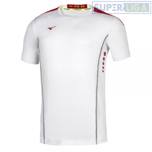 Волейбольна футболка Mizuno Men Hex Rect Polo білий (62EA7002-76)