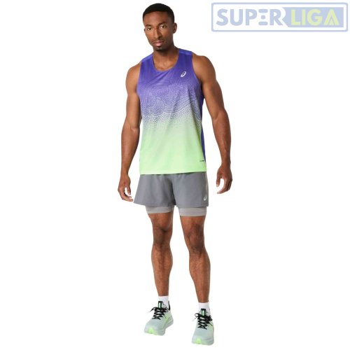 Мужские спортивные шорты для бега Asics ROAD 2-N-1 5IN SHORT серый (2011D245-020) AW2026