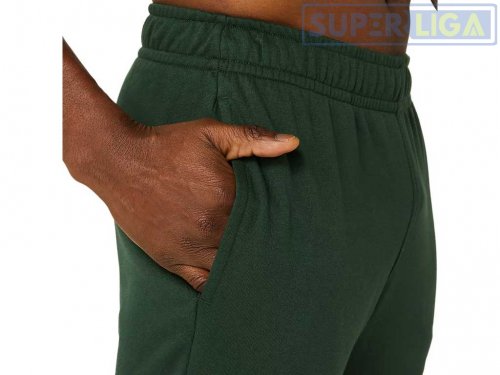 Мужские спортивные штаны Asics Big Logo Sweat Pant (2031A977-300)