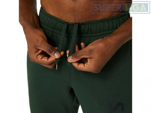 Мужские спортивные штаны Asics Big Logo Sweat Pant (2031A977-300)