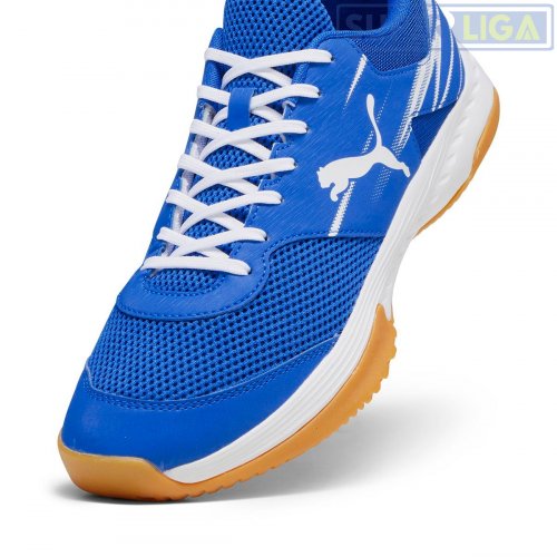 Волейбольные кроссовки Puma Varion II 10734103голубой 