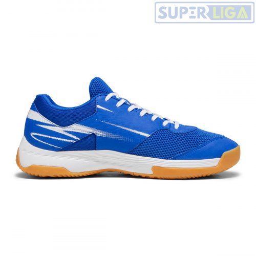 Волейбольные кроссовки Puma Varion II 10734103голубой 