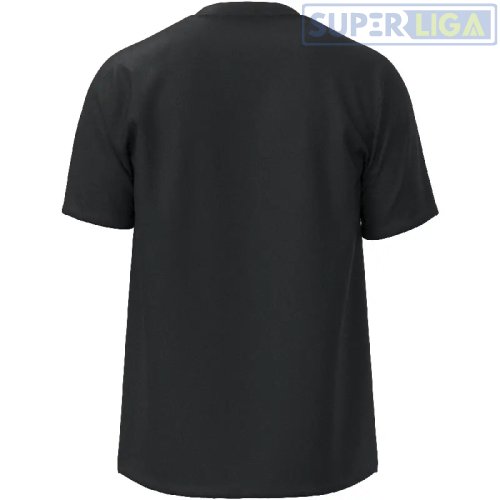 Мужская футболка Mizuno T-shirt Team Core черный (32EAB565-09)