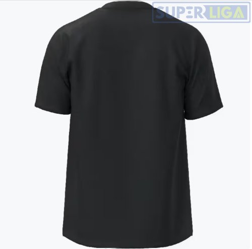 Мужская футболка Mizuno T-shirt Team Core черный (32EAB565-09)