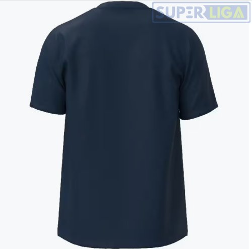Чоловіча футболка Mizuno T-shirt Team Core синій (32EAB565-14)