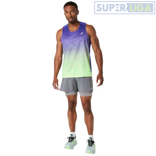 Мужские спортивные шорты для бега Asics ROAD 2-N-1 5IN SHORT серый (2011D245-020) AW2026