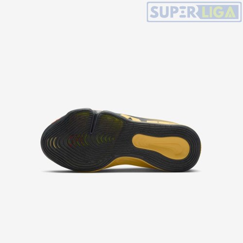 Баскетбольні / волейбольні кросівки Nike Zoom GT Hustle 3 FV5953-101Мультиколір